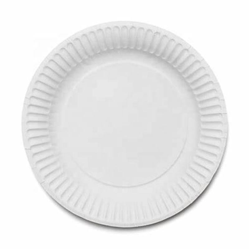 9 Inch 100% Compostable Sugarcane Dinner Plate