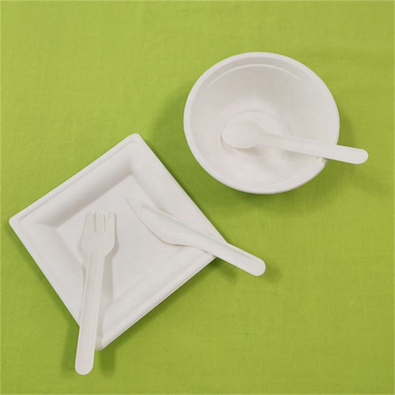 Restaurant Compostable Food Spoon Cutlery