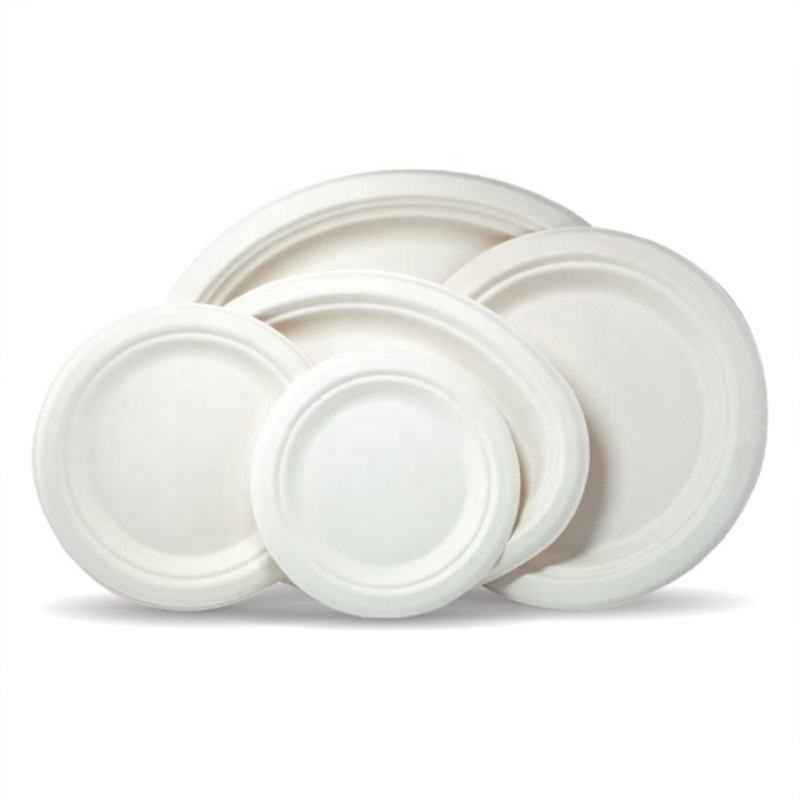 9 Inch-3 Cells Food Container Degradable Dinner Set