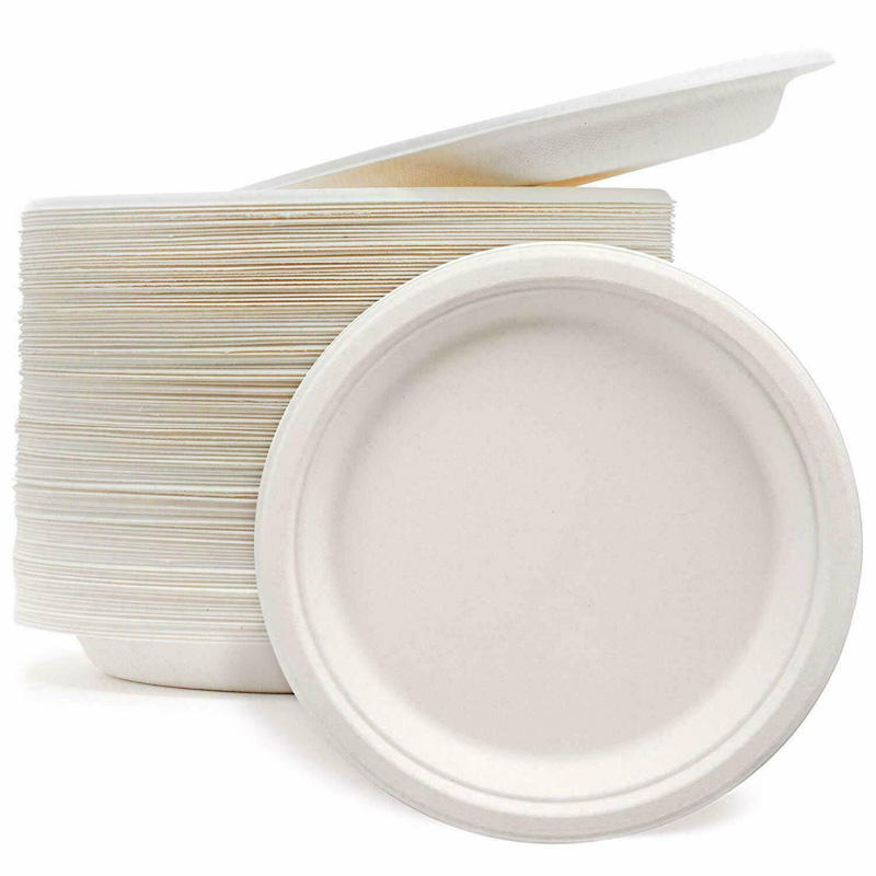 9 Inch Dinner Party Sugarcane Pulp Paper Plate