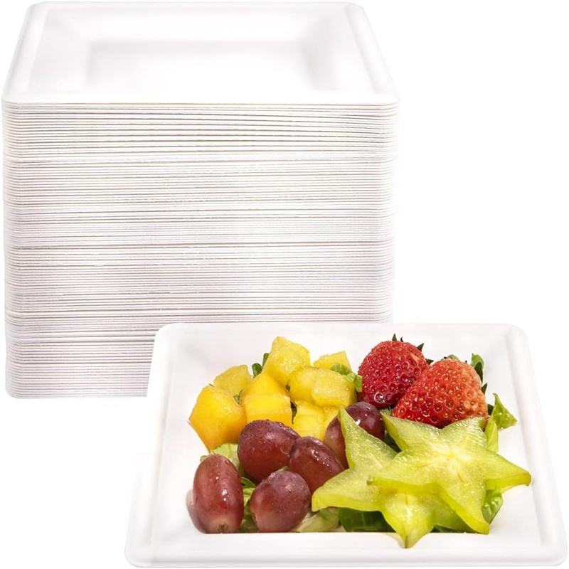 6″ Sugarcane Square Restaurant Food Paper Fruit Plate