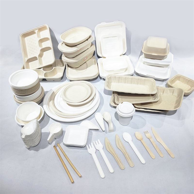 Biodegradable Bagasse Flatware Spoon Fork Knife